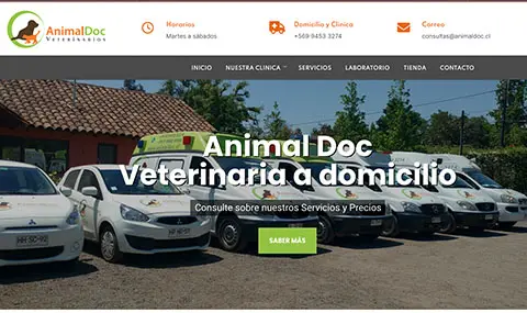 diseño web para veterinaria
