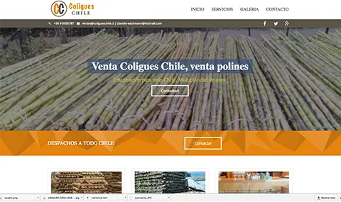 Diseño web coligues Chile