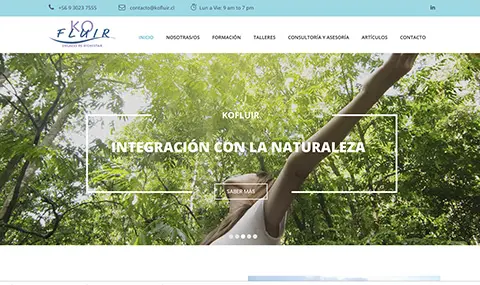 Diseño web Psicología Valdivia