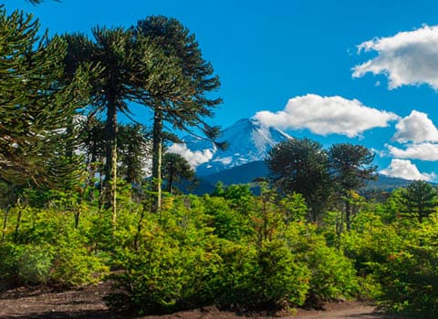 Sur de Chile