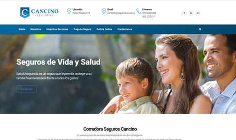 diseño web Concepción