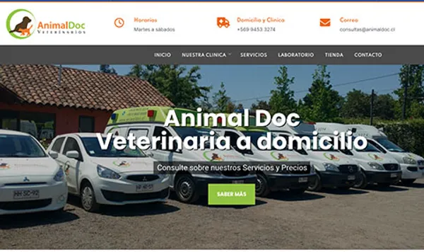 Diseño web para veterinarias en Osorno