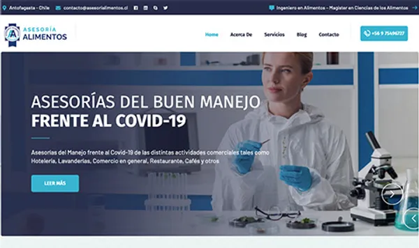 Diseño web para empresas de alimentos en Viña del Mar, Chile